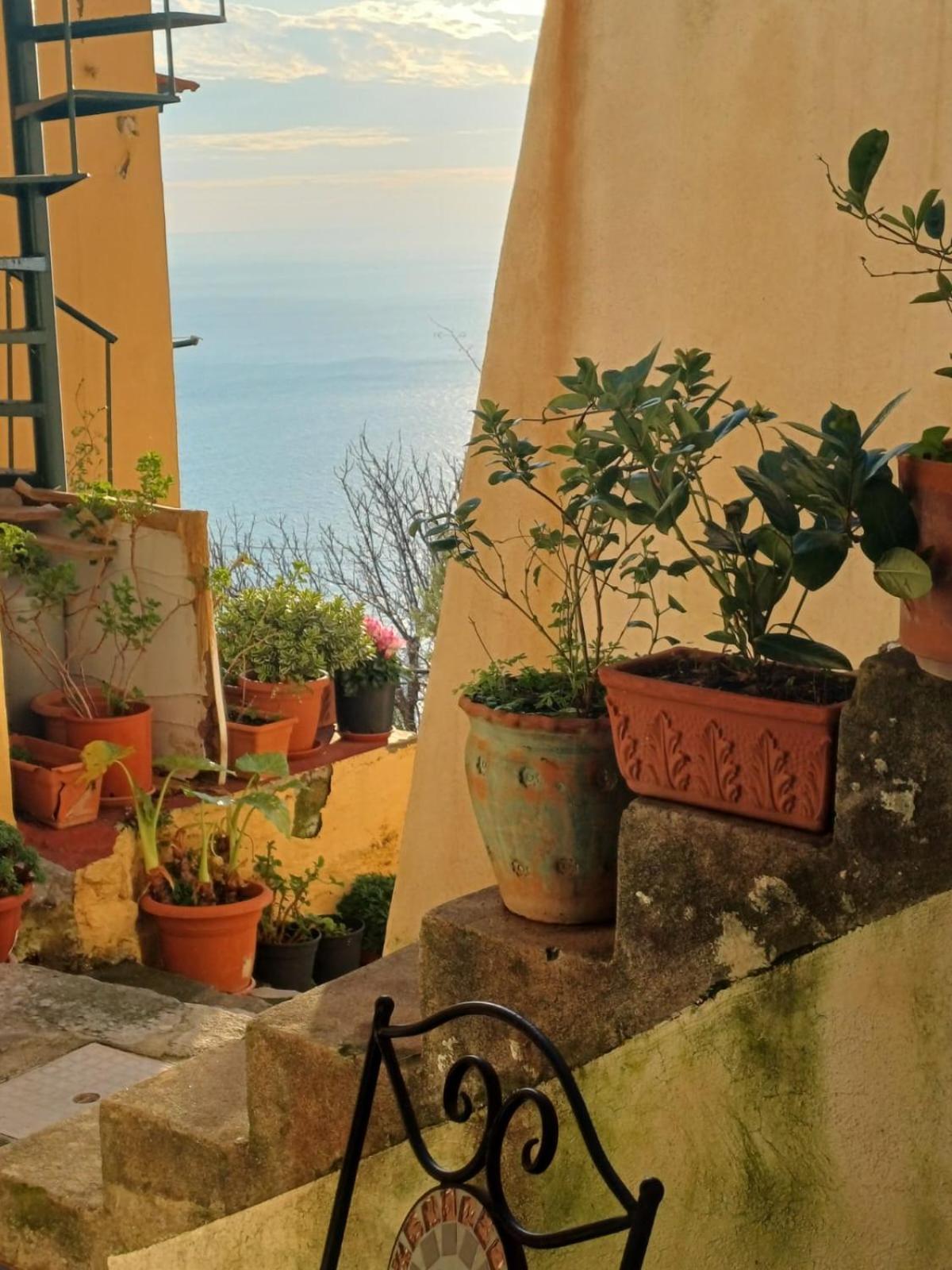 Rifugio Stellato Bed & Breakfast Conca dei Marini Bagian luar foto